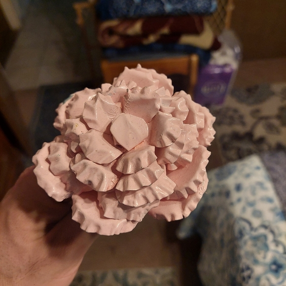 Meet your Posher, Israel - Picture 14 of 15